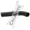 NISSA 101053780 Filler Pipe, fuel tank